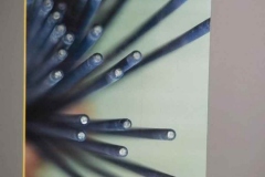 ba4c02bc-a7bf-488b-8177-e29673d01108