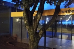 WhatsApp-Image-2020-12-22-at-19.20.33